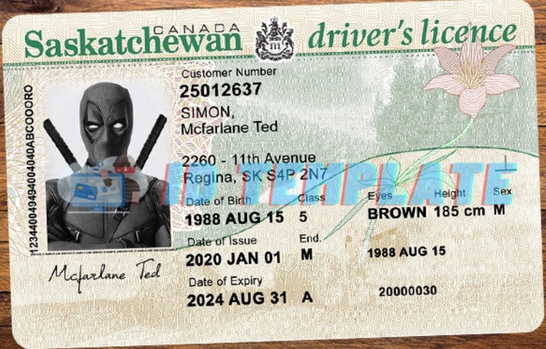 Screenshot_20250708_135831_Gallery